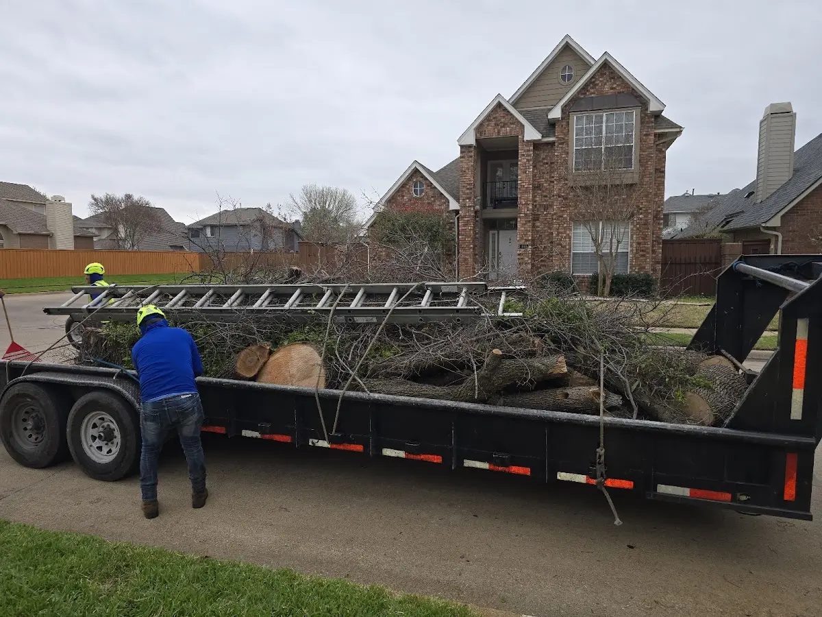 Expert Tree Removal with proper safety equipment in Six Lakes